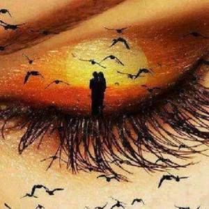 Meet your Posher, Terri